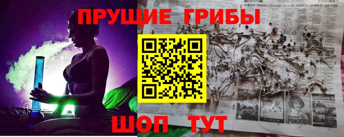 Галлюциногенные грибы Psilocybine cubensis  Вход с VPN  Краснодар 