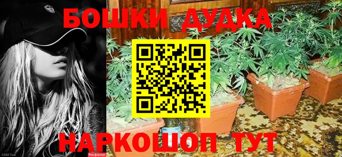 Бошки Шишки VHQ Краснодар